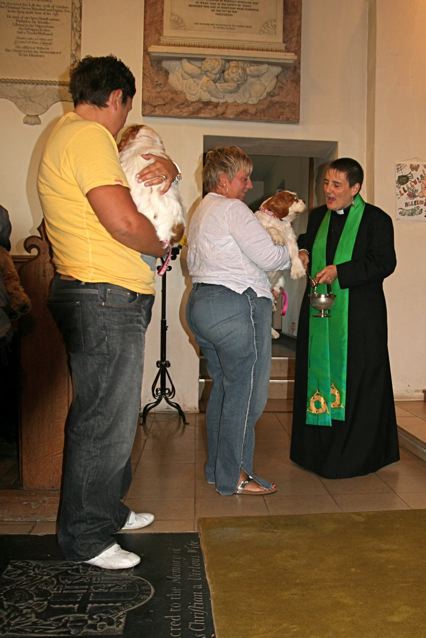 Blessing tha Animals