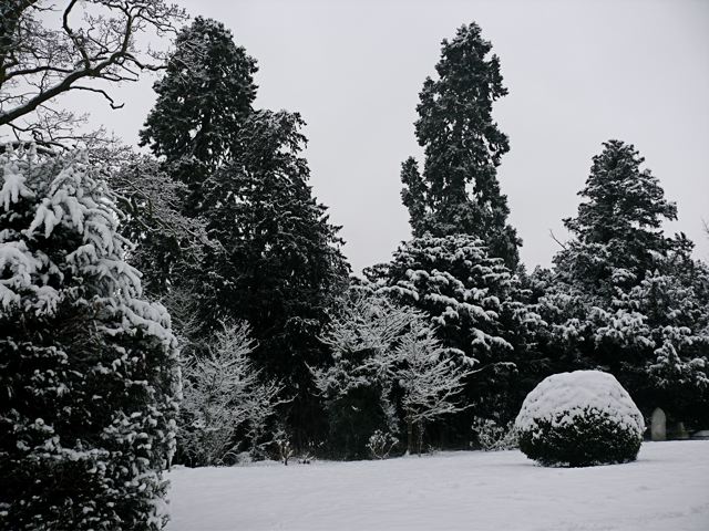 The Churchyard in snow